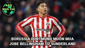Borussia Dortmund muốn mua Jobe Bellingham từ Sunderland