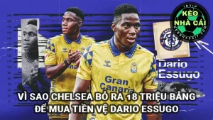 Vì sao Chelsea mua Dario Essugo với giá 18 triệu bảng Anh