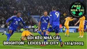 Soi kèo nhà cái Brighton vs Leicester City lúc 21h00 ngày 12/4/2025 Vòng 32 Ngoại hạng Anh